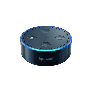 Alexa-800X800